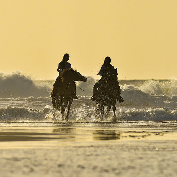 Two women on horses in the sea
